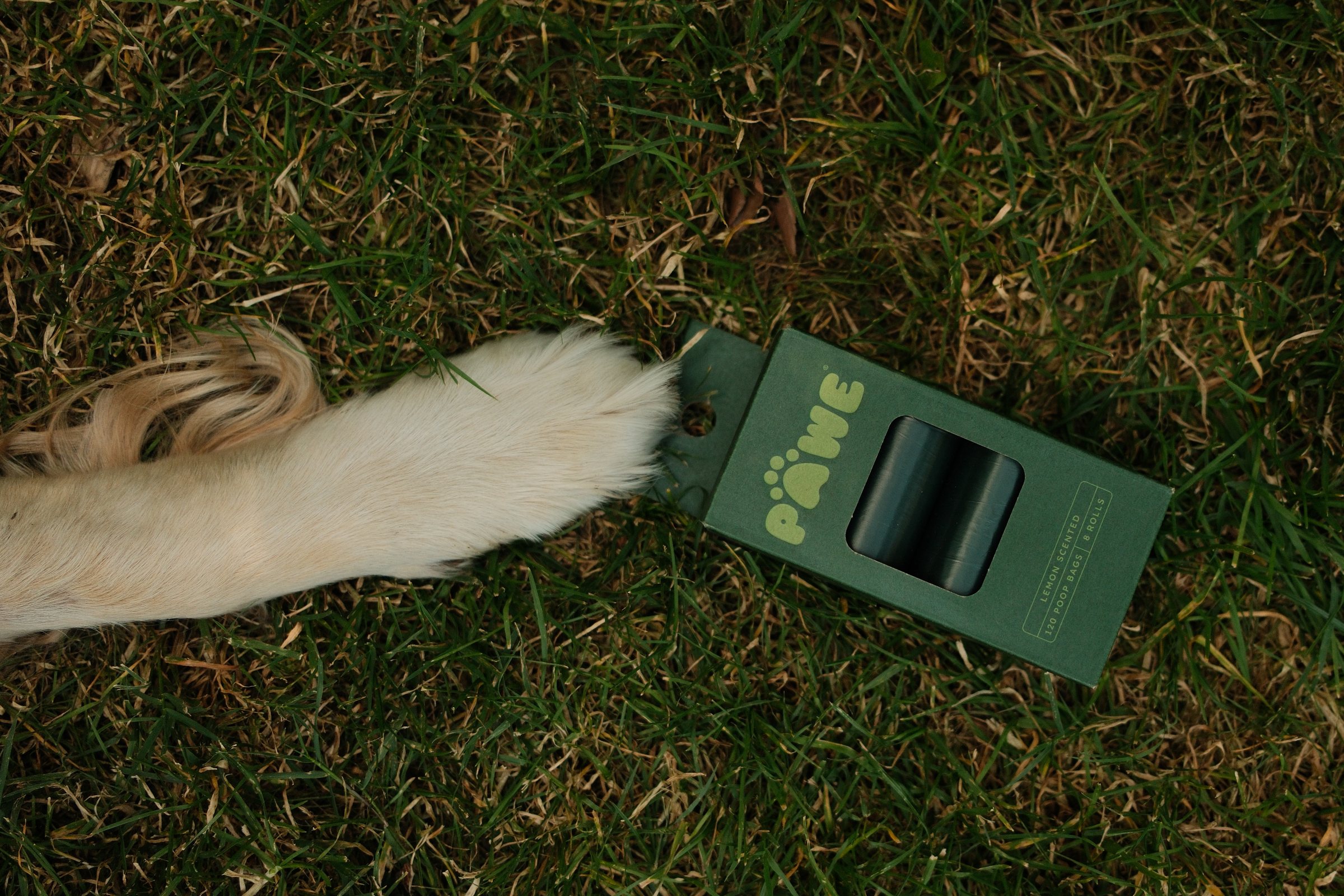 A dog's paw resting on a PAWE 8 roll pack in the grass