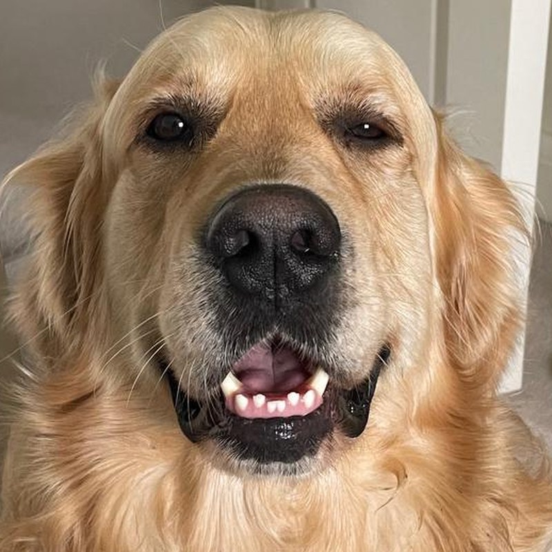 Alfie, QC Inspector 1